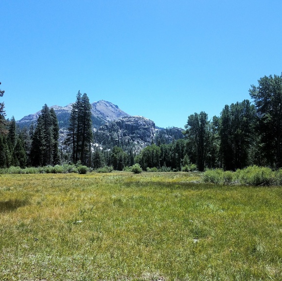 Meet your Posher, Carol - Picture 1 of 1